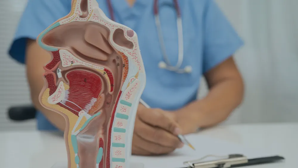 Amigdalectomia (Cirurgia das Amígdalas)